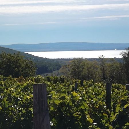 Bed and Breakfast Juhfark Fogado Es Borhaz Balatoncsicso Экстерьер фото