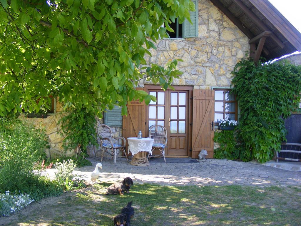 Bed and Breakfast Juhfark Fogado Es Borhaz Balatoncsicso Экстерьер фото