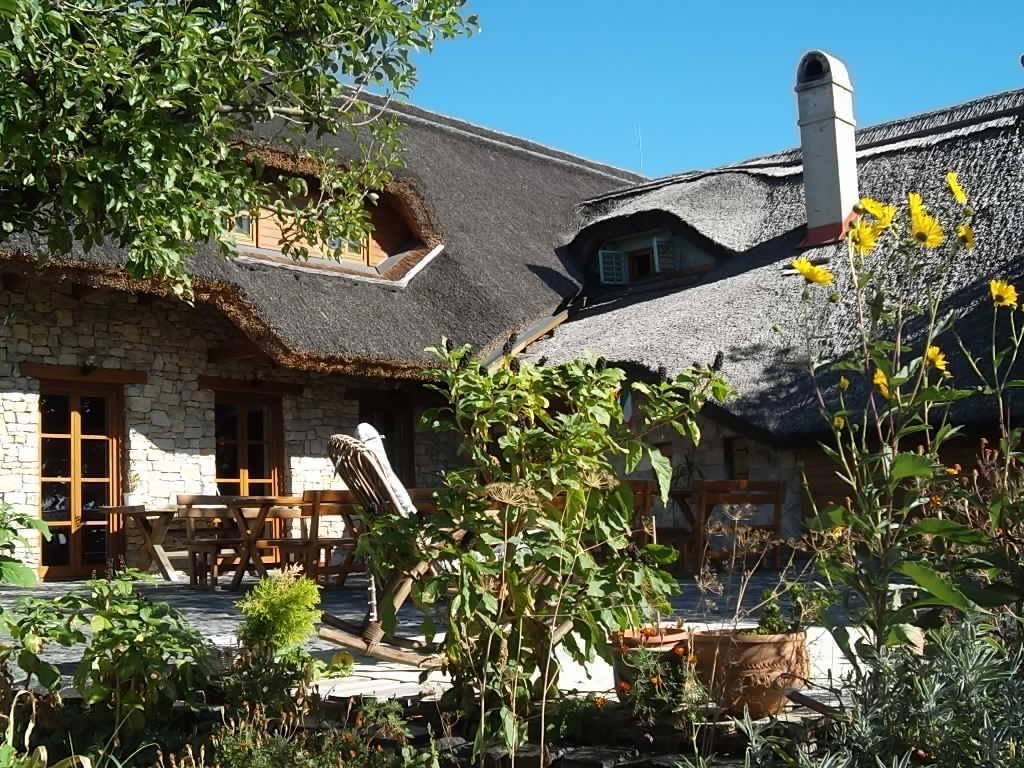 Bed and Breakfast Juhfark Fogado Es Borhaz Balatoncsicso Экстерьер фото